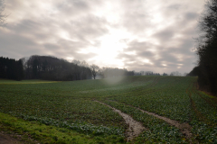 DSC_5614