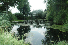 Toetensen-und-Westerhof-038