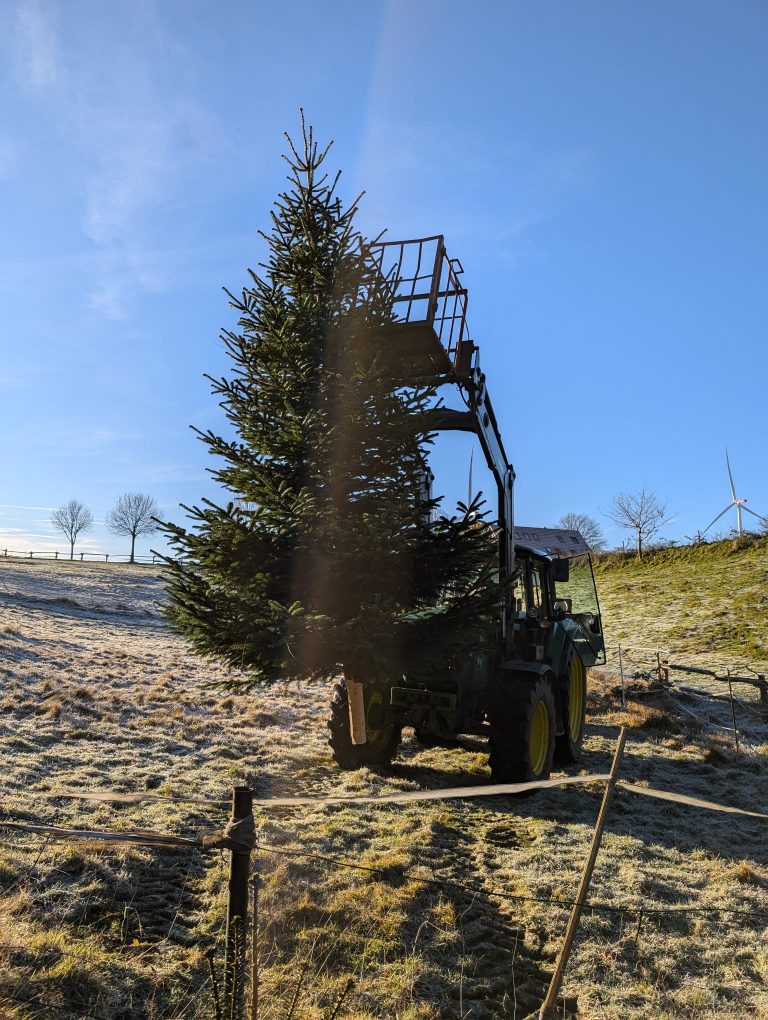 „Weihnachtsglanz“ in Tötensen und Westerhof